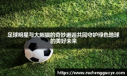足球明星与大熊猫的奇妙邂逅共同守护绿色地球的美好未来